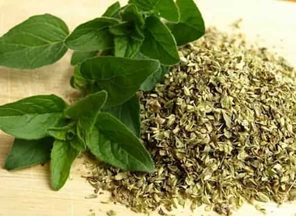 تصویر 1 از فروش سبزی خشک مخصوص عدسی + قیمت خرید به صرفه